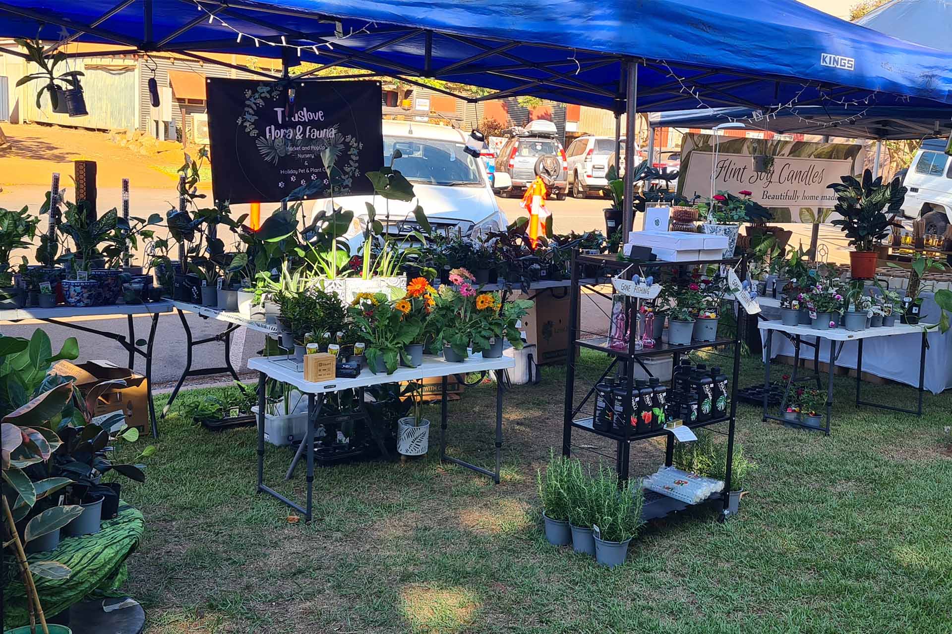 Botanical Road plant stall under a blue marquee with potted plants